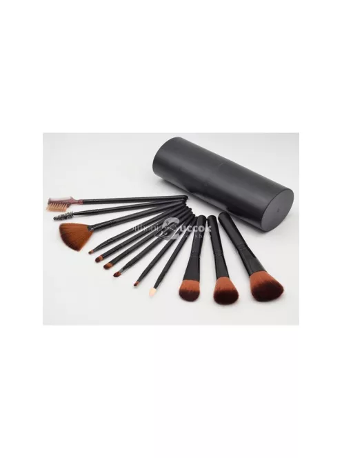 Professzionális smink ecset készlet 12 darabos