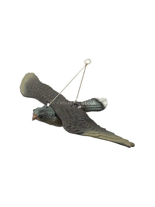 Madárgátló verebek galambok rágcsálók sólyom