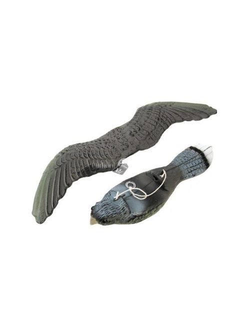 Madárgátló verebek galambok rágcsálók sólyom