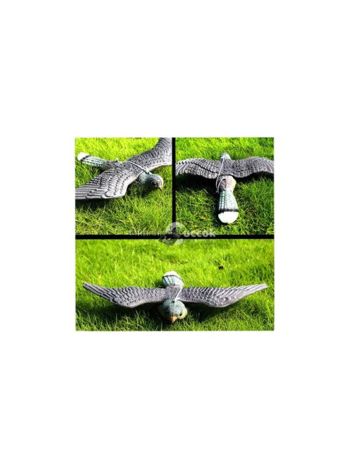 Madárgátló verebek galambok rágcsálók sólyom