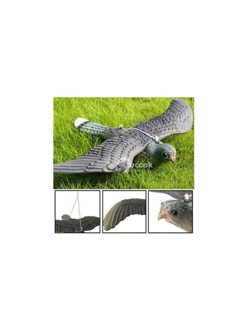 Madárgátló verebek galambok rágcsálók sólyom