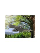 Madárgátló verebek galambok rágcsálók sólyom