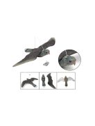 Madárgátló verebek galambok rágcsálók sólyom