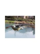 Madárgátló verebek galambok rágcsálók sólyom