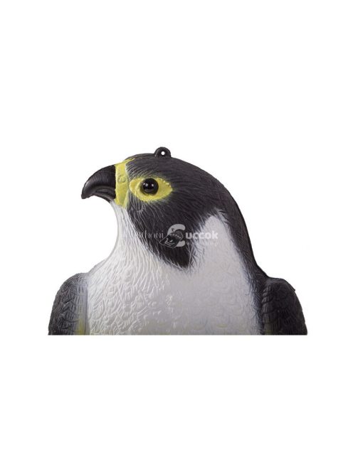 Sólyom madárriasztó verebek galambok egerek nagy