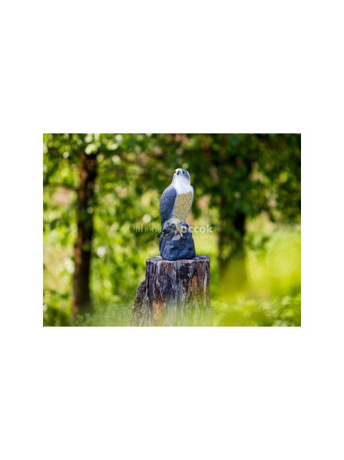 Sólyom madárriasztó verebek galambok egerek nagy