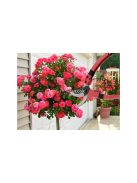 Kézi metszőolló bokrokhoz és növényekhez - kerti metszőolló, növényvágó metszőolló, kézi metszőeszközök