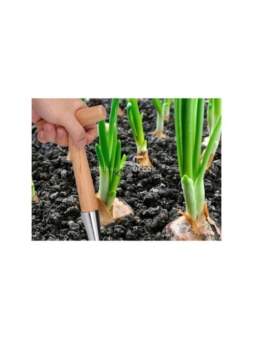 Hagymaültető karó kert tüskével fa mérővel