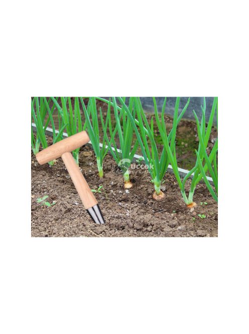 Hagymaültető karó kert tüskével fa mérővel