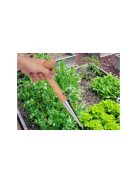 Hagymaültető karó kert tüskével fa mérővel