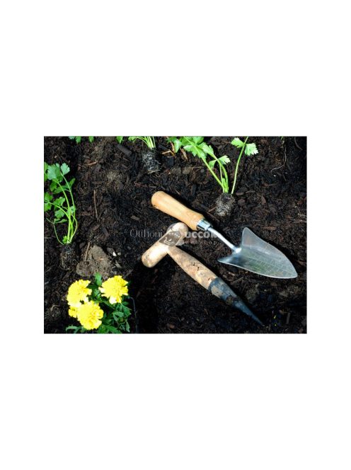 Hagymaültető karó kert tüskével fa mérővel