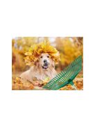 Kertgereblye fű levelek számára könnyű műanyag nyelel alumínium 40cm