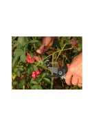 Kertész kézi metsző olló bokor metszővel