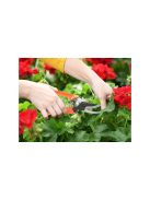 Kertész kézi metsző olló bokor metszővel