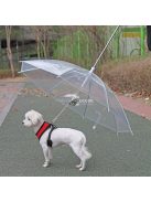 Kutya esernyő pórázzal