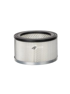 Hepa szűrő hamutakarító porszívóhoz 10927