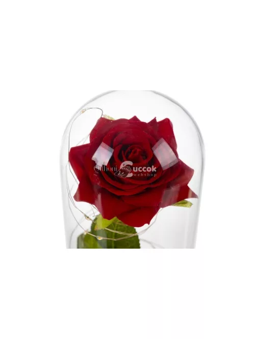 Rózsa üvegben - csillogó Malatec 21619