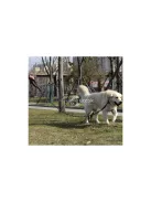 Fényvisszaverő edzés póráz 5m Purlov 21655