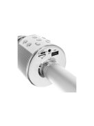 Karaoke mikrofon - ezüst Izoxis 22188