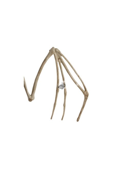 Denevér csontváz dekoráció 30cm Malatec 22005