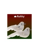 Karácsonyfa díszmadarak 2 db - Ruhhy 22338