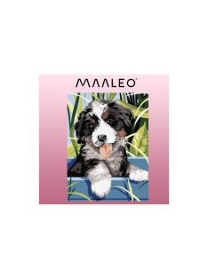   Számfestés 40x30cm - Kutyus 22780, festőkészlet, kreatív hobbi, művészeti alkotás, relaxáció, szórakozás, ajándék ötlet