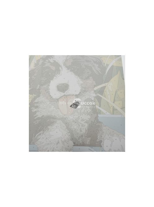 Számfestés 40x30cm - Kutyus 22780, festőkészlet, kreatív hobbi, művészeti alkotás, relaxáció, szórakozás, ajándék ötlet