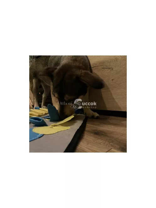 Kutyaszimatoló szőnyeg - Purlov 23066