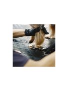 Kutyaszőrzetnyíró olló - Purlov 23186