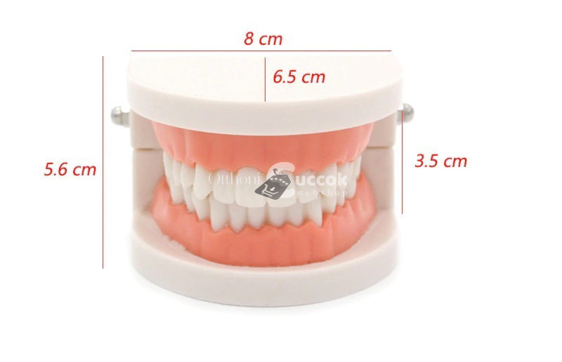 Image of Gyermekek számára készült fogmosás oktató segédeszköz – Interaktív tanulási eszköz