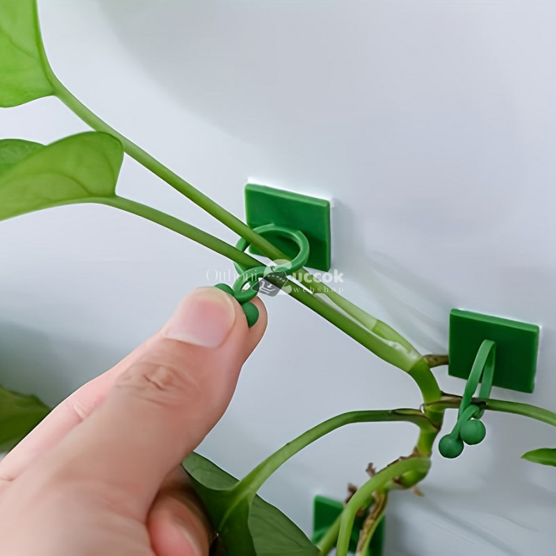 Image of 10db Öntapadós Fali Kapocs Kúszónövények Rögzítésére