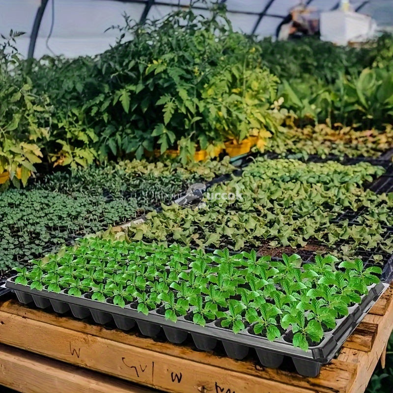 Image of 72 részes Palánta nevelő tálca, 10db