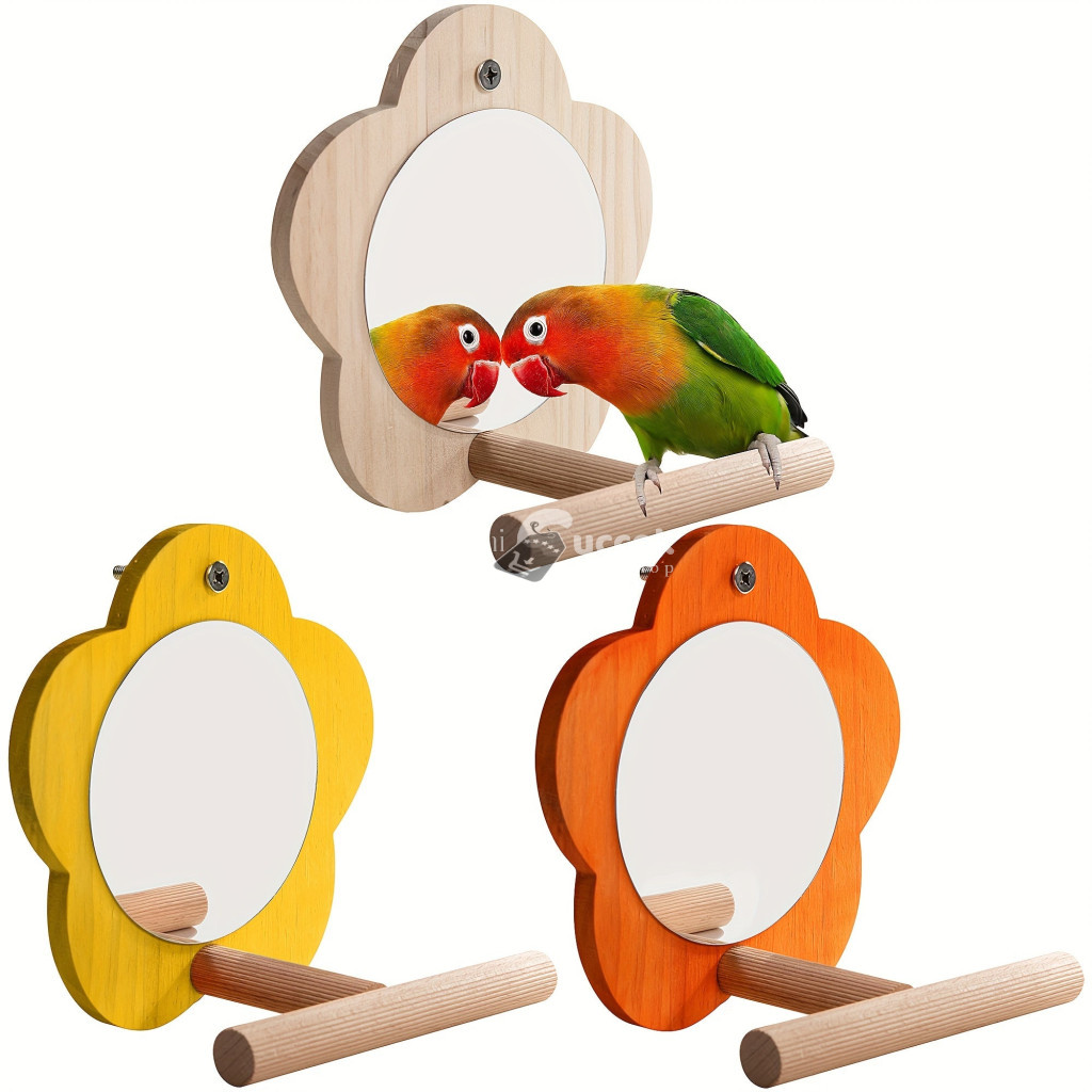 Image of Fa Tükör Állvánnyal Papagájoknak