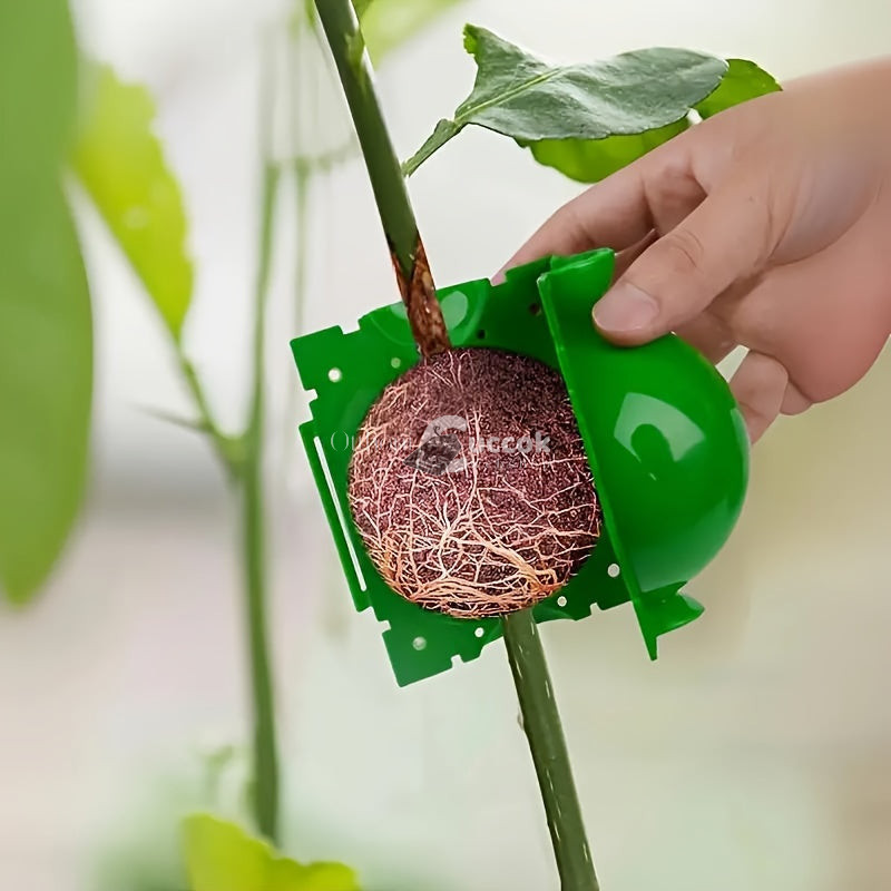 Image of 10db műanyag növénygyökereztető labda