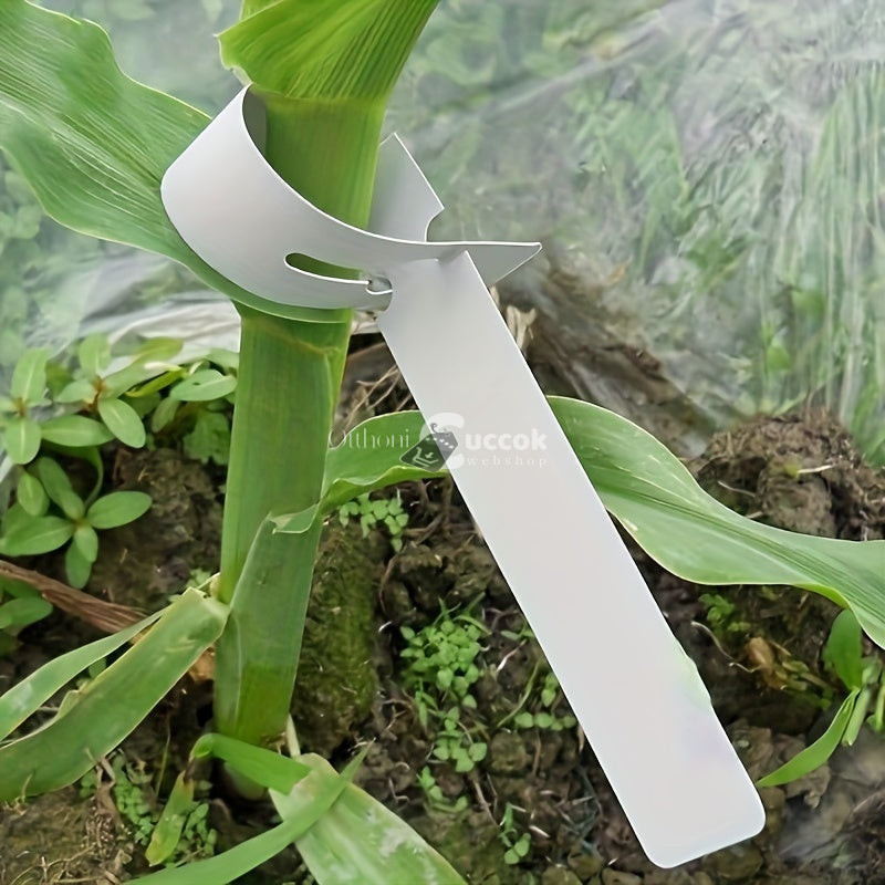 Image of 100db, Műanyag Növény jelölő címke
