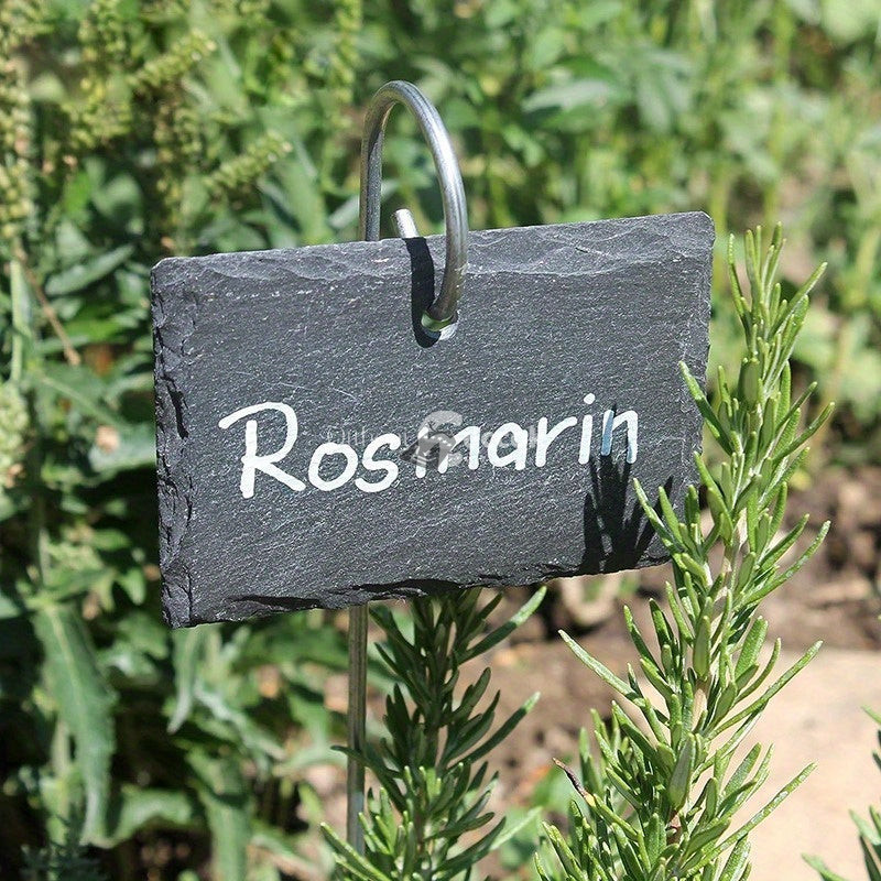 Image of 10 darabos pala tábla szett növényekhez rozsdamentes acél oszlopokkal